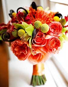 [buquet.bmp]