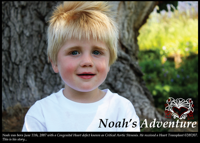 Noah's Adventure