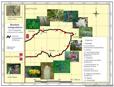 Sendero Interpretativo del bosque muy seco tropical