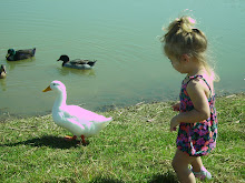The only duck that wasn't afraid of Libby