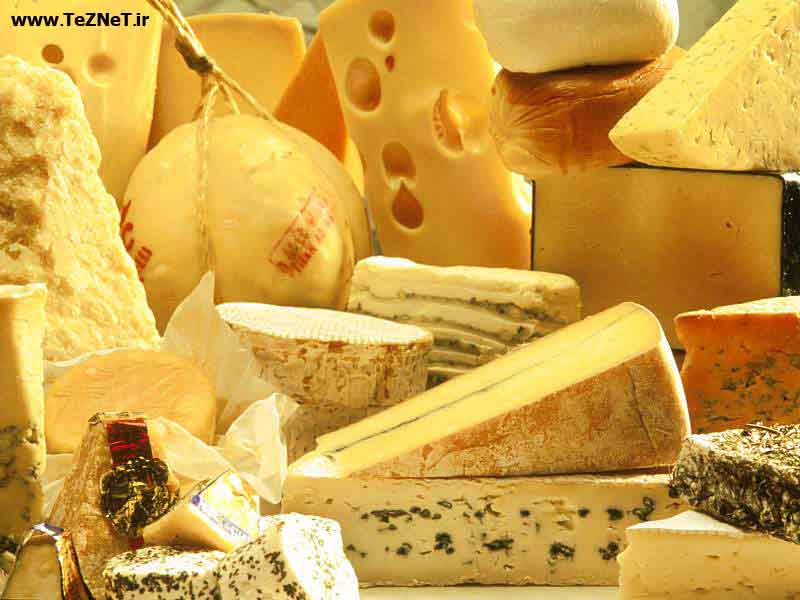 http://4.bp.blogspot.com/_f4qCAQ_lONc/TM7AU0YEdII/AAAAAAAAABk/8_OPxlGHxe4/s1600/Cheese.jpg