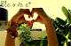 Mi foto