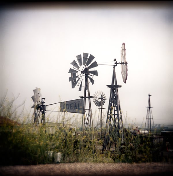 [hwy1_windmills1.jpg]