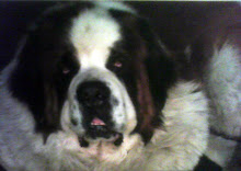 MI gordo hermoso!! Te extrañoo :(