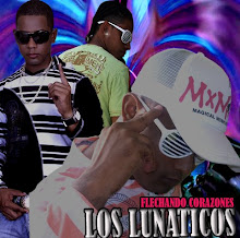 LOS LUNATICOS