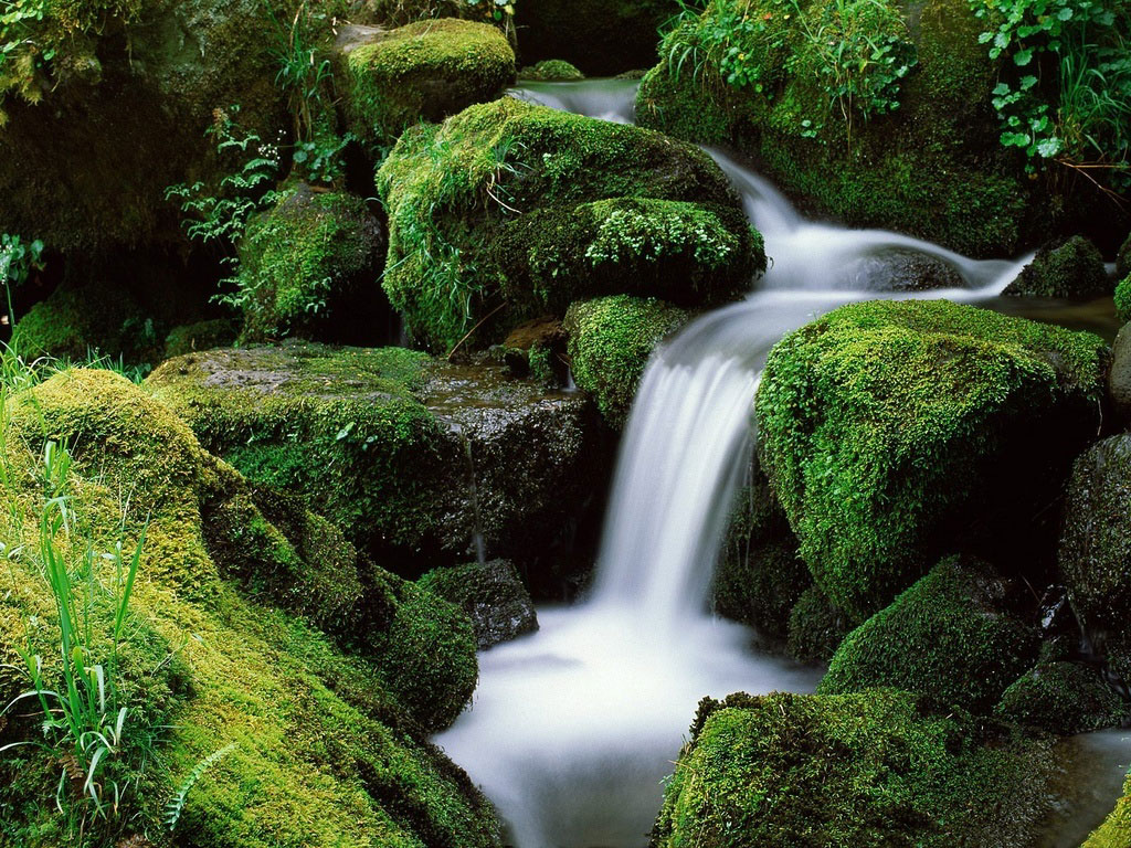 http://4.bp.blogspot.com/_f6qW-NkH6uA/TOWXJpkCZFI/AAAAAAAAAfk/wZhHBXQHDGI/s1600/6199natureza.jpg