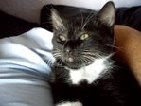 And this is Jerry