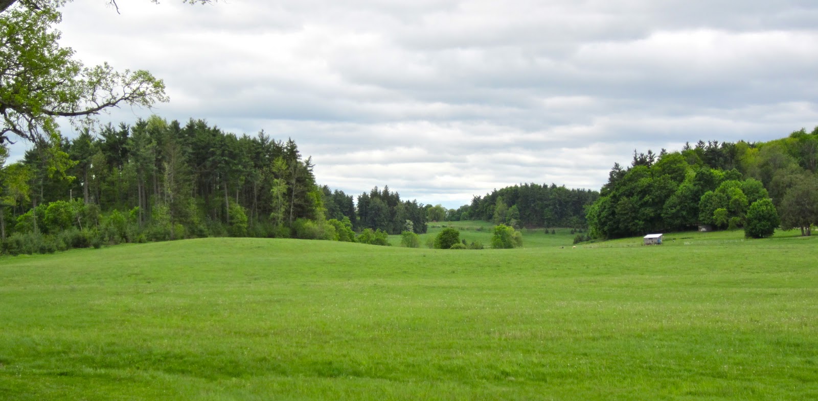 Meadows Farms Landscape Design How To Grade Landscape