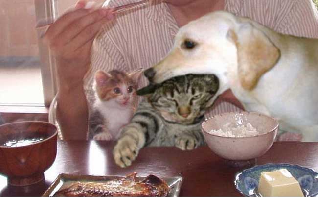 [Breakfast.jpg]