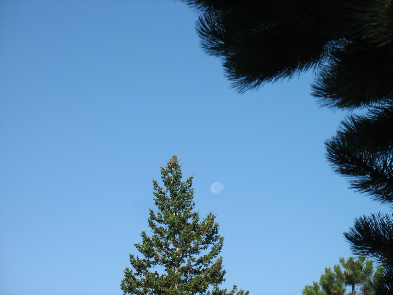 [IMG_2413.JPG]