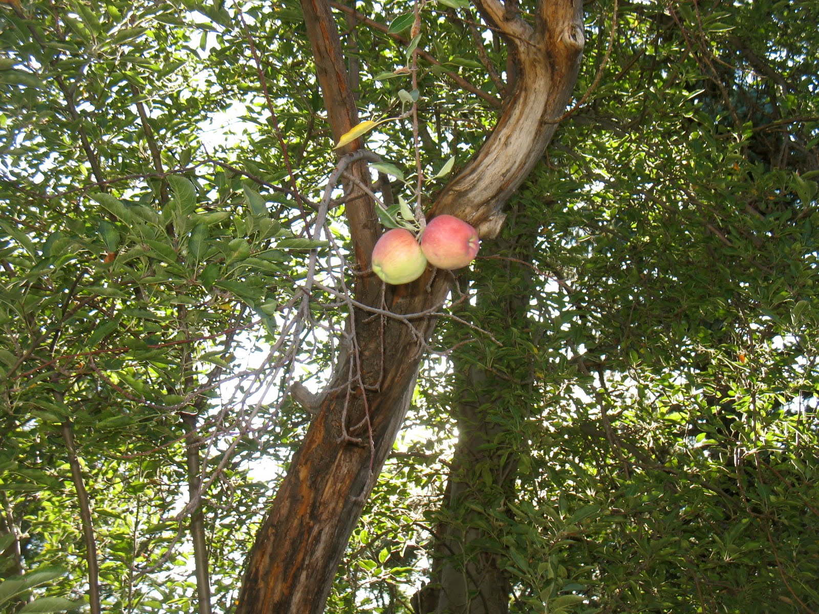 [IMG_2705.JPG]