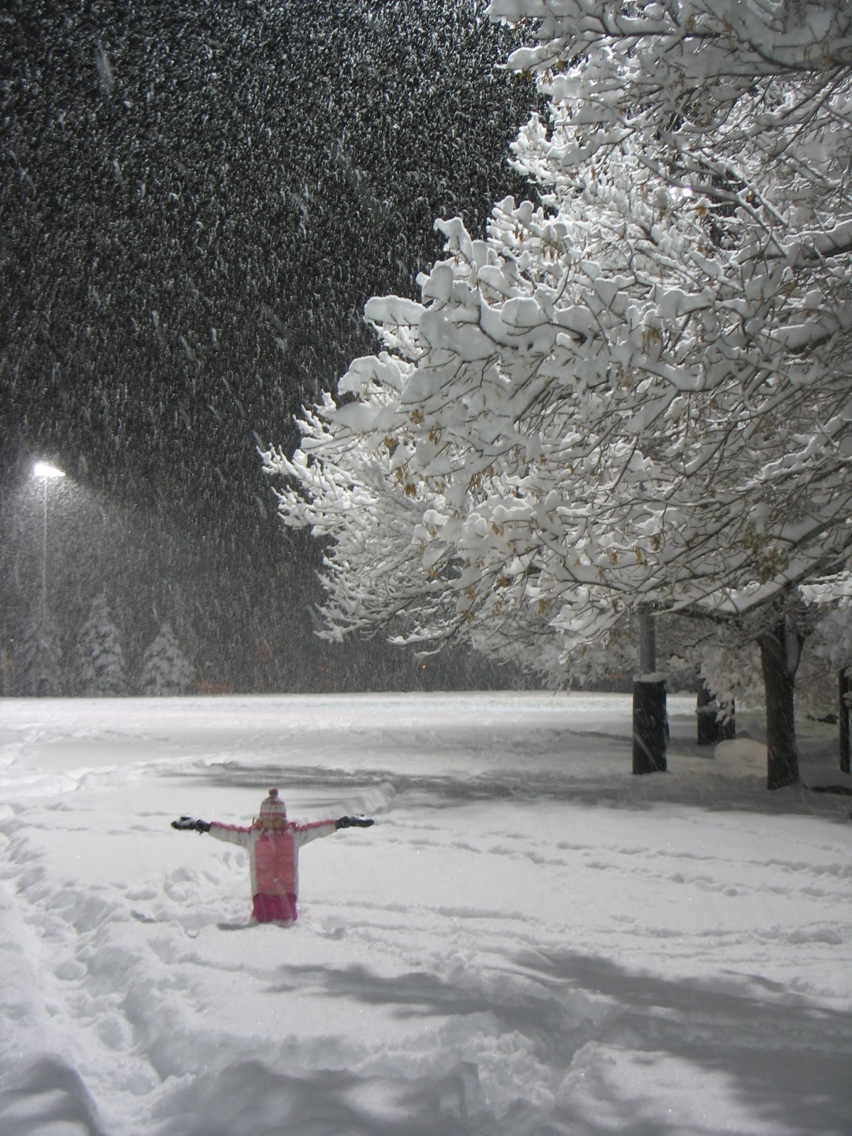 [IMG_2874.JPG]