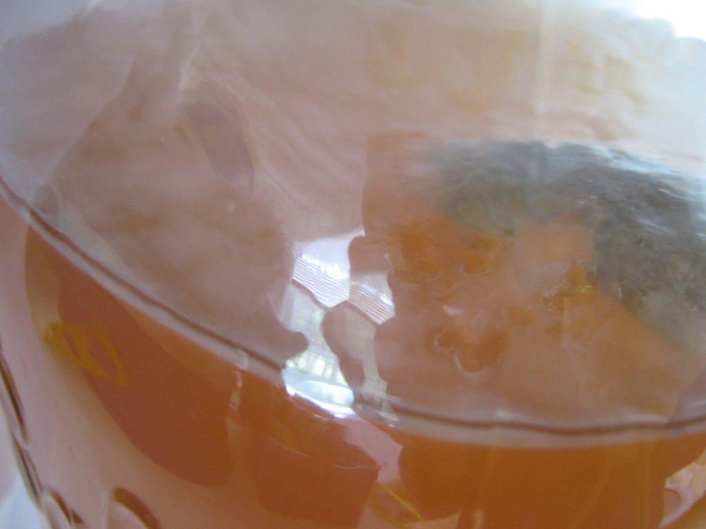 the happy raw kitchen Kombucha, Baby!