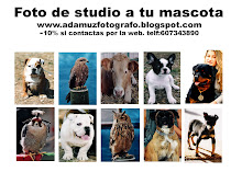 Fhoto Mascota.