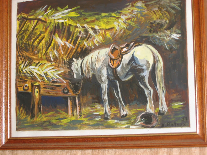 Le vieux cheval.