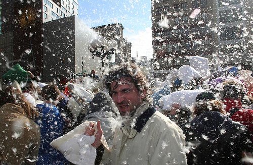 [pillow_fight_1.jpg]
