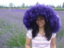 [lavender.jpg]
