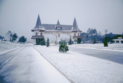 gramado canela