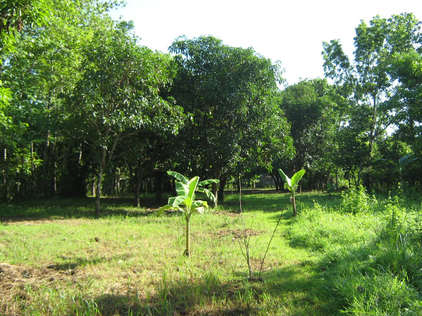 Property For Sale Philippines