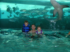 Tyler Gary and Abby swimming with sharks