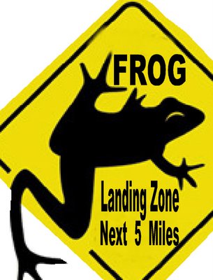 [frog_landing_zone.jpg]