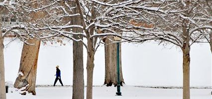 [Snow.jpg]