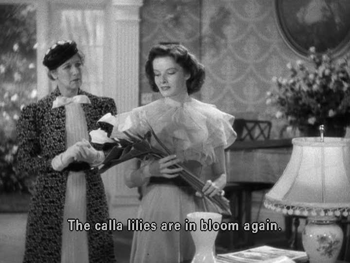 Hollywood Dreamland Katharine Hepburn Stage Door 1937