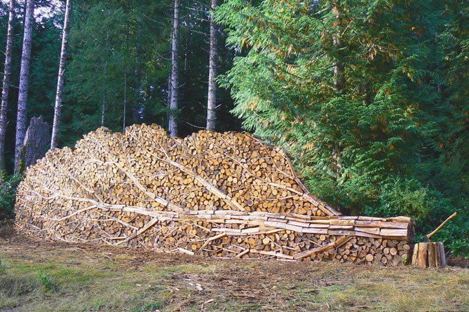 [Log+Tree.htm]