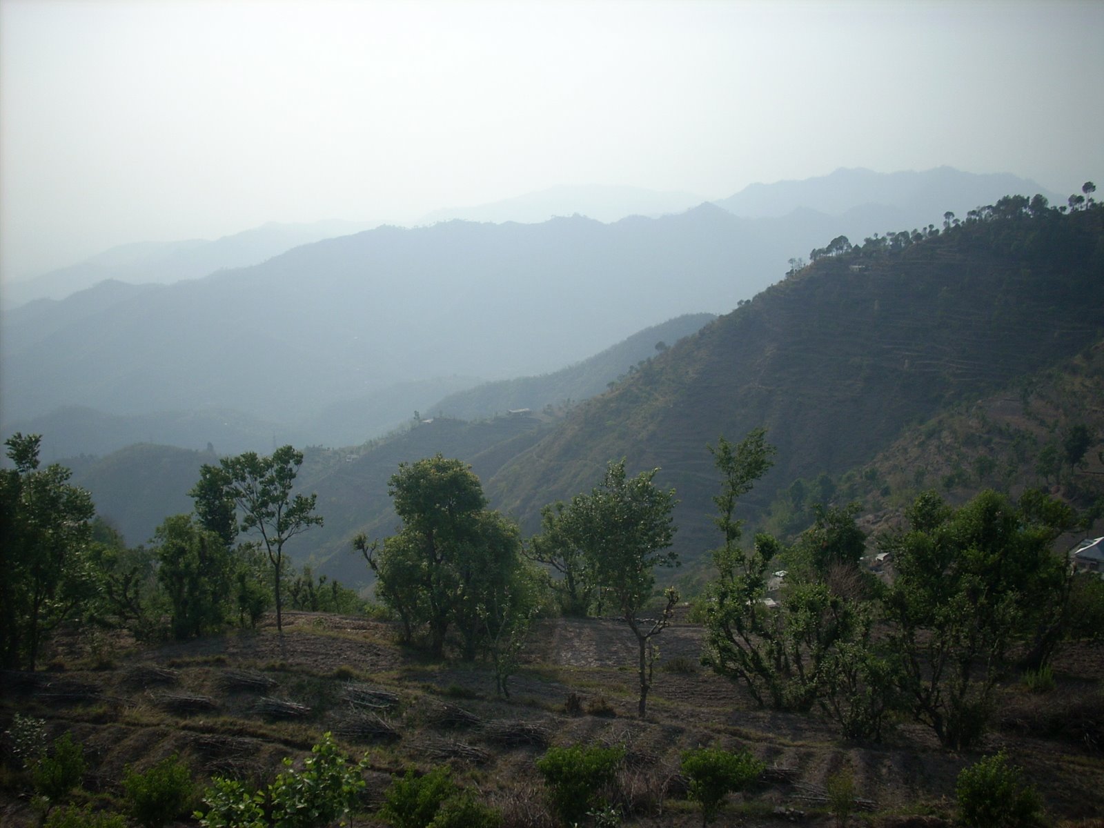 [DSCN5960.JPG]