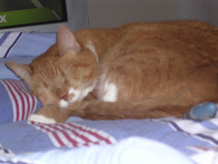 Abby