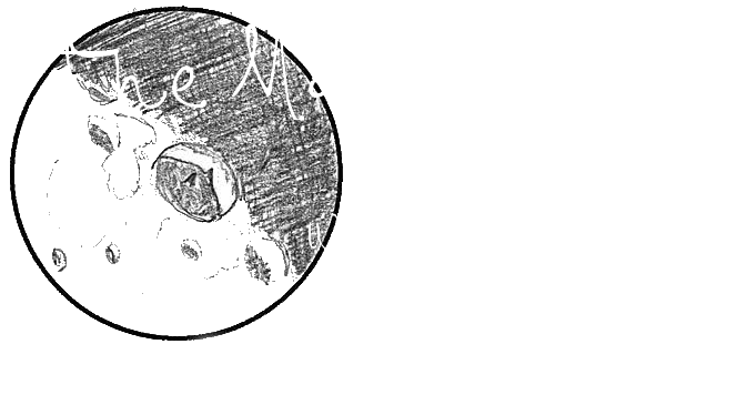 Moonstream