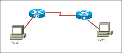 CCNA 1 Module 4 V4.0