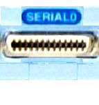 CCNA 1 Module 11 V4.0