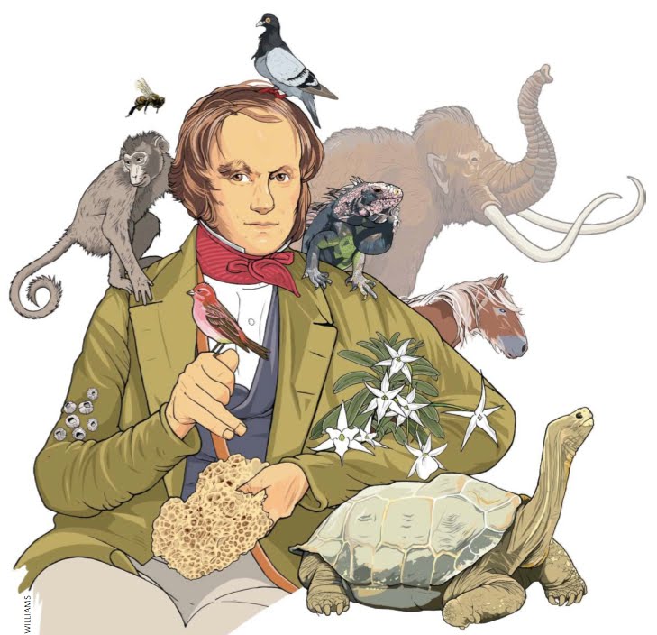 external image Que%2520es%2520evolucion_Darwin_Nature.jpg