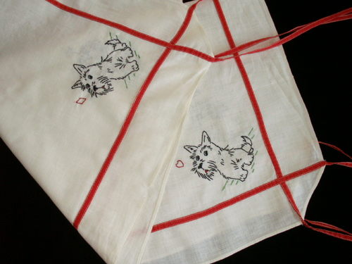 [pict0084_1251747623.jpg]