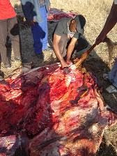 Woman Slaughter