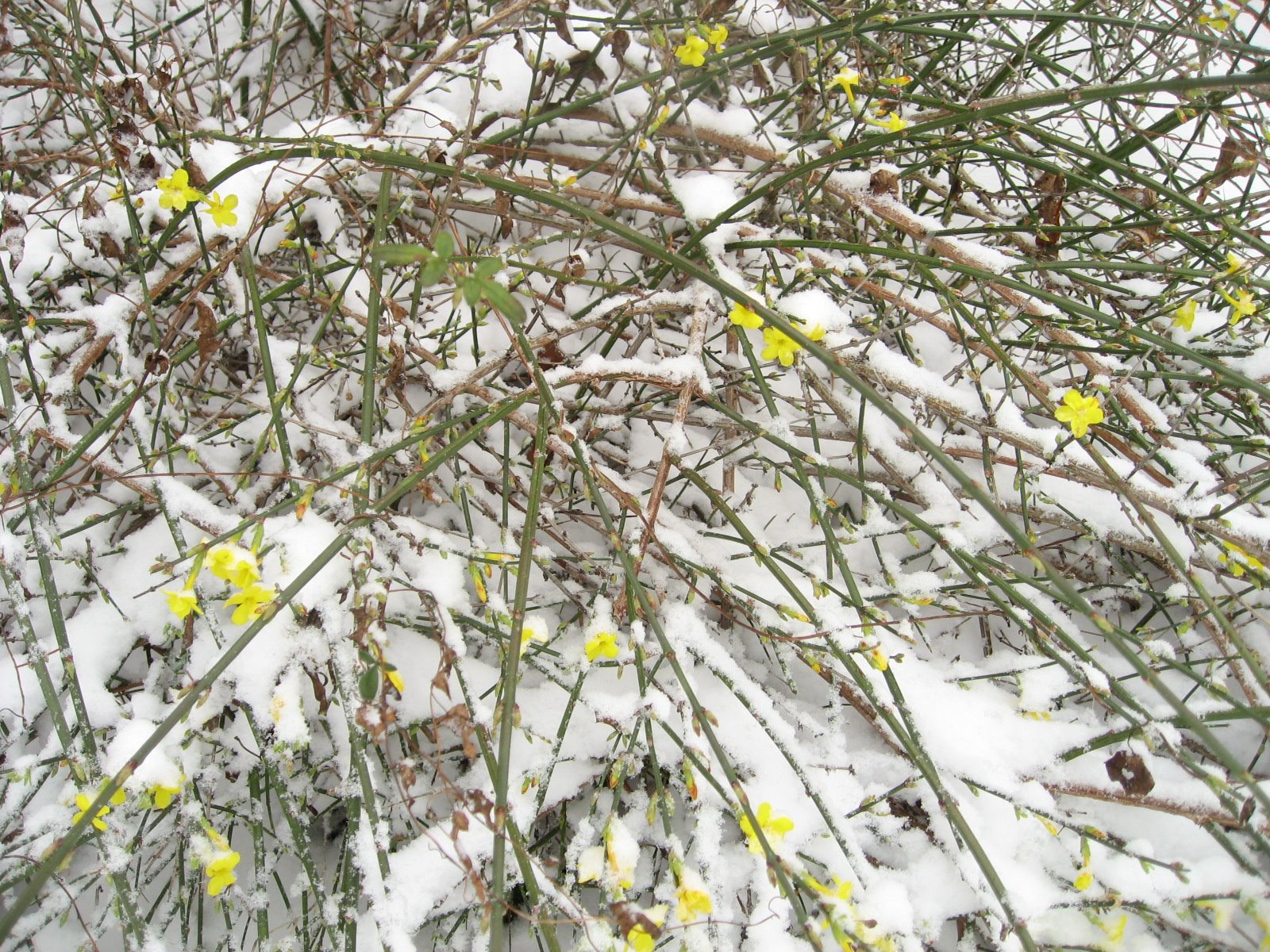 [IMG_6631.JPG]