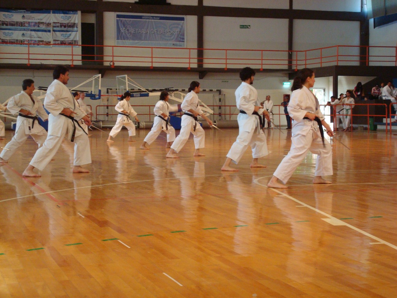 http://4.bp.blogspot.com/_fFKz9eitNoU/TODTG4Q23sI/AAAAAAAAAvc/dx4JMvlW9ok/s1600/DSC04686.JPG