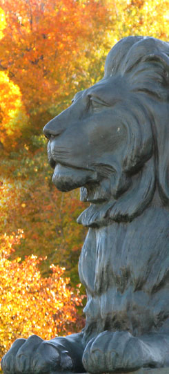 lion du mont royal