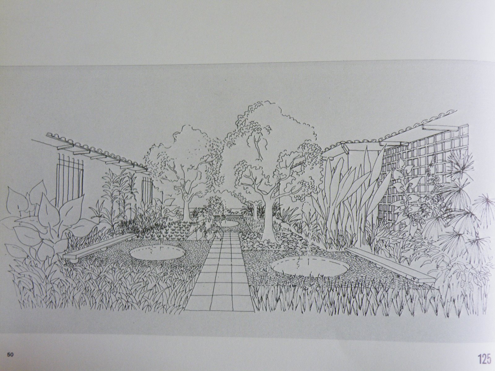 [DSCF2133.JPG]