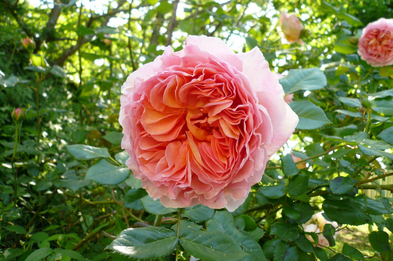 [P1000156_1.JPG]