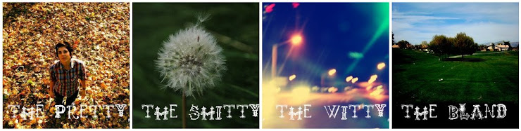 The pretty, the Shitty, The Witty, The Bland