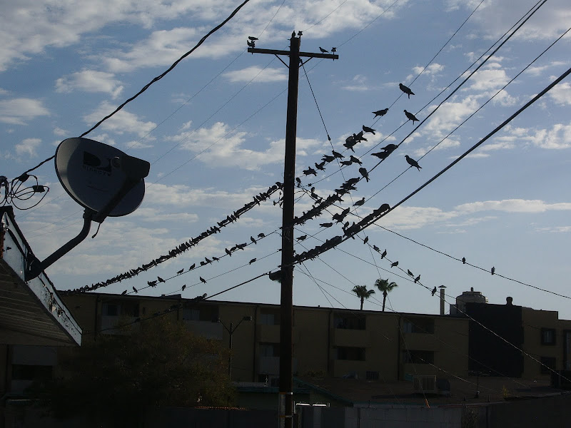 The revolution will not be satellite-televised