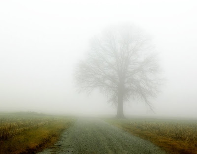 http://4.bp.blogspot.com/_fGMw_NftHpg/Shv9FKdWkhI/AAAAAAAAA60/_3J0QGiI7e0/s400/mimpi.bmp