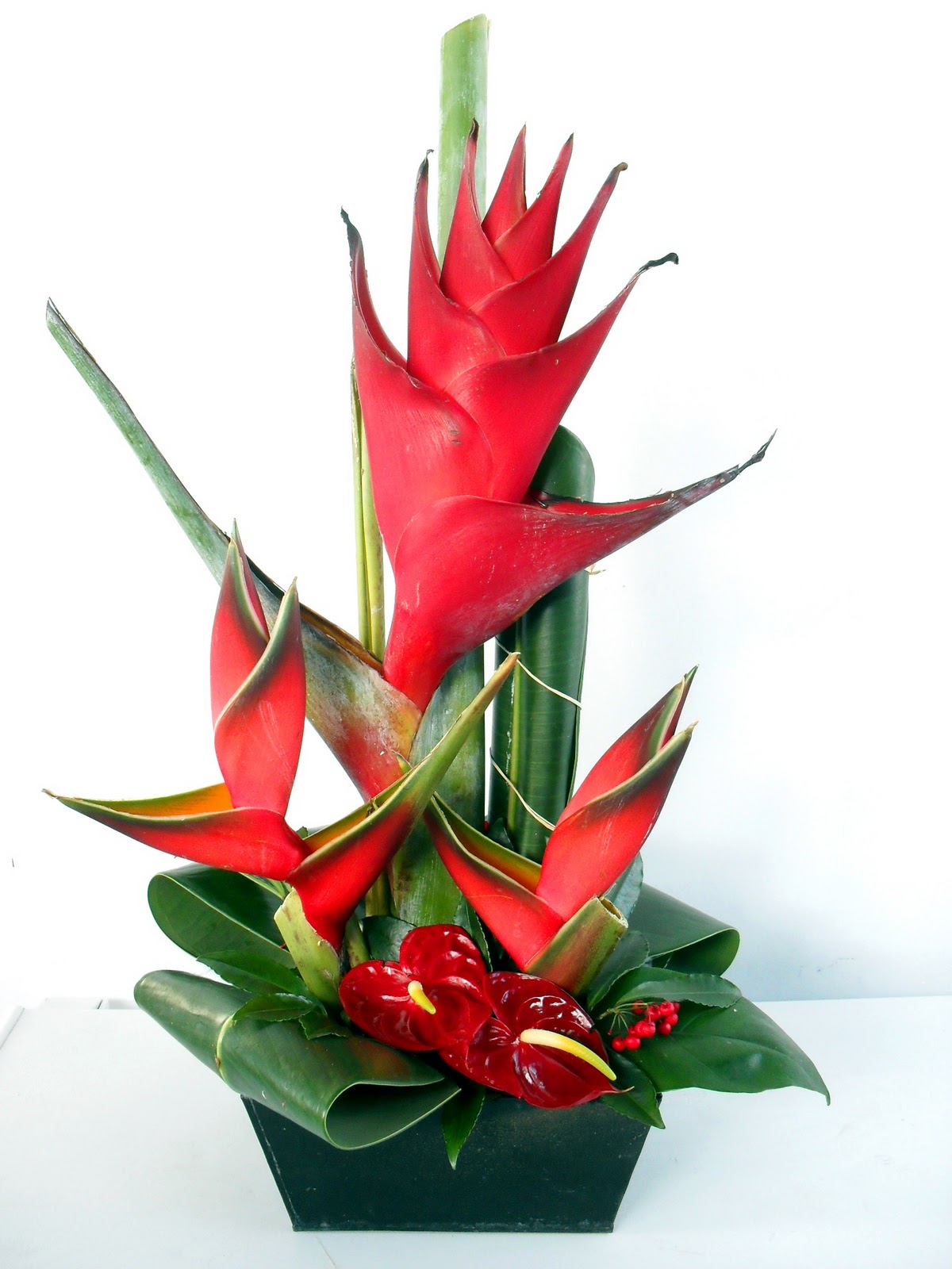 Instinct Fleuri: Compositions exotiques