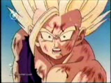[gohan.jpg]