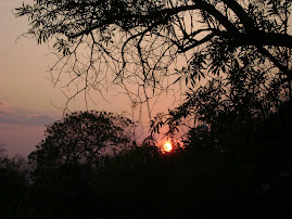 African Sunset