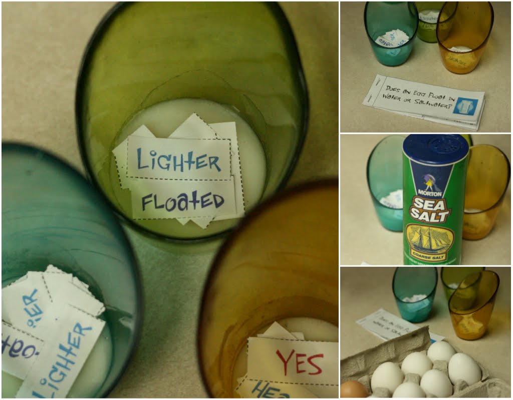 Our School House: Floating Egg Experiment: