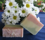 Lime, Coconut & Aloe Vera Soap Bar