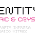 INTENTITY MOSAIC